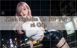 kinh nghiệm ox bet vay trả góp