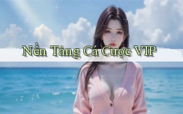 Nền tảng Cá cược VIP